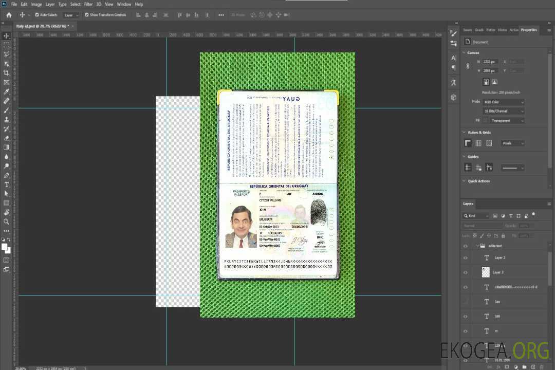 Look photo du passeport de l'Uruguay template